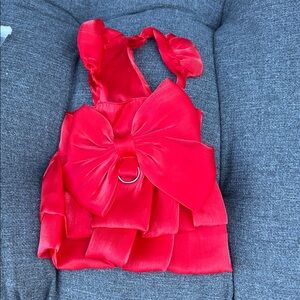 Elegant Red Dog Dress with Bow